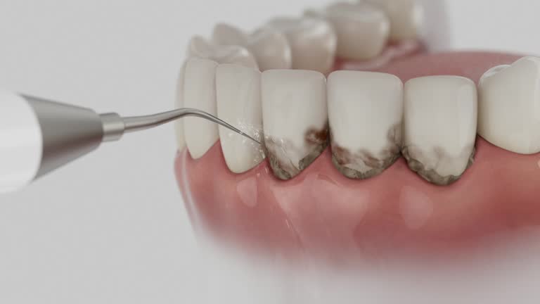 Reliable Dental contractor in Montrose-Ghent, OH by Dentist Open Now